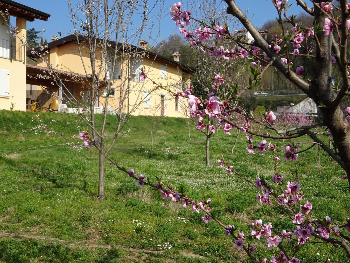 Cascina Legnago Trilocale A 6 Chilometri Da Salo' Apartamento Villanuova sul clisi Exterior foto