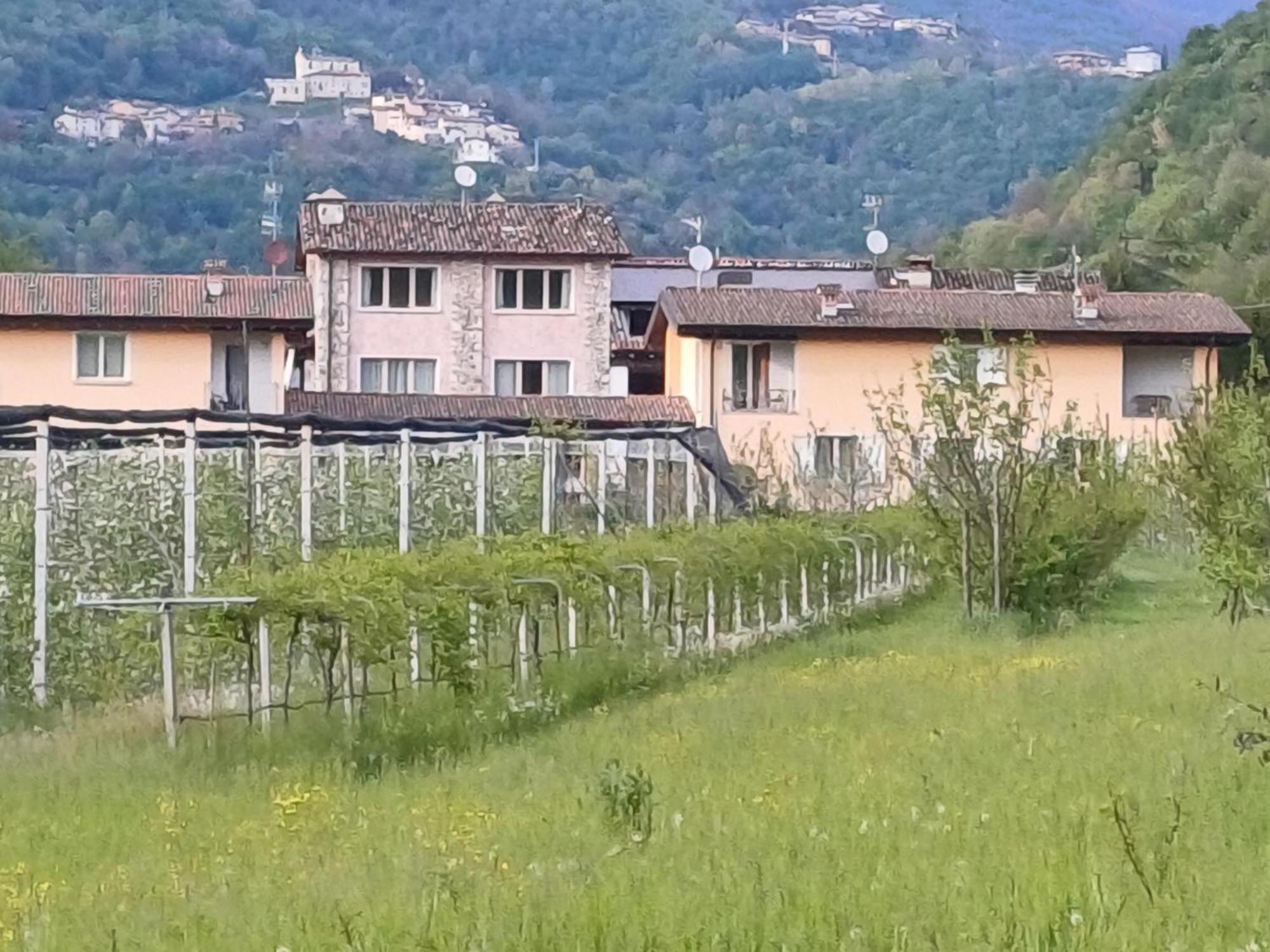 Cascina Legnago Trilocale A 6 Chilometri Da Salo' Apartamento Villanuova sul clisi Exterior foto